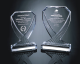 Diamond Cup Award