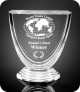 Goblet Shaped Award